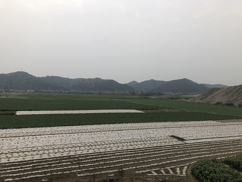 市、縣領(lǐng)導(dǎo)現(xiàn)場(chǎng)調(diào)研天馬50萬(wàn)噸玻瓶項(xiàng)目(圖7)