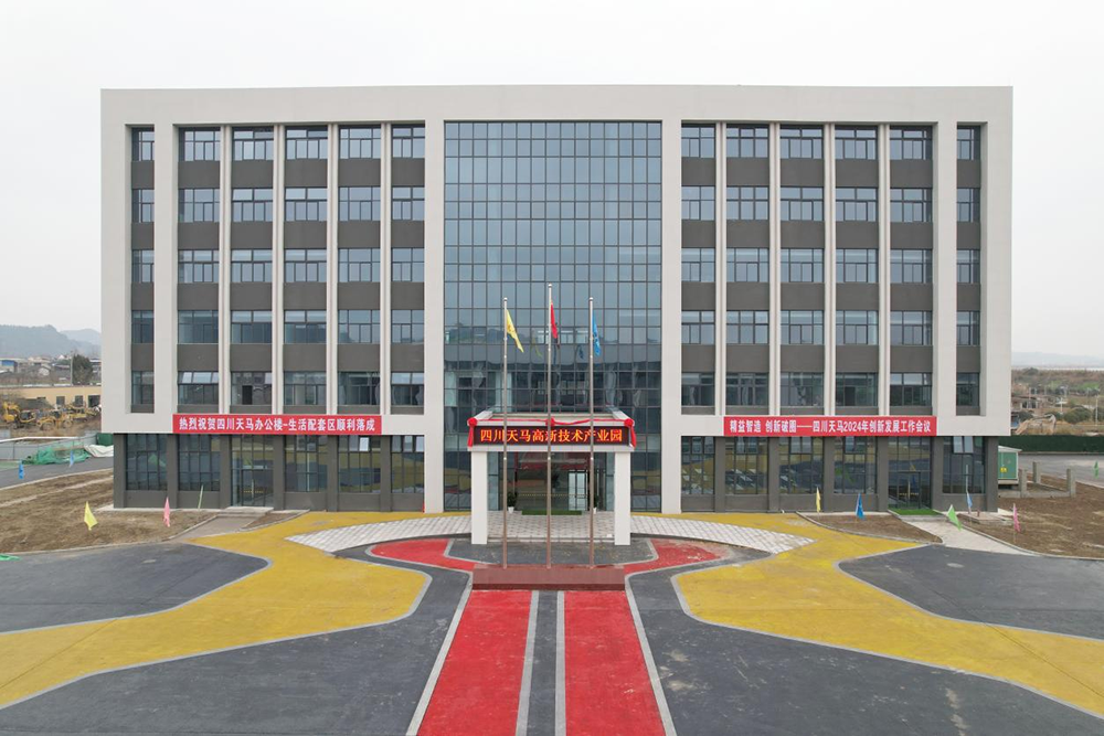 精益智造，創(chuàng)新破圈 | 四川天馬2024年創(chuàng)新發(fā)展工作會議成功召開(圖16)